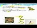 class 4 science chapter 3 Adaptation in animals// Adaptation in animals in hindi//#ncert #cbse