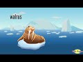 Fram Animals| Fram Animals name | Fram Animals sounds| Wild animals| name | Wild animals for kids