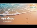 Sea Waves [MHA PODFIC]