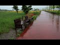 Peaceful sound of rain and scenery - White noise of rain for quick sleep, comfort, and relaxation