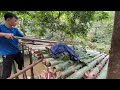 [Full 60 days] build a tree house to avoid wild animals using soil, bamboo, wood - harvest fish