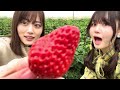 Strawberry hunting date ♪ Eat strawberries together!