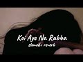 Koi Aye Na Rabba (slowed + reverb)