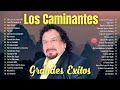 Los Caminantes Mix Exitos 2024 ~ La Voz del Rock Mexicano ~ Sus Mejores Interpretaciones