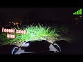 Fastest RC Toy Car Chase vs GIANT Fox…