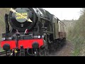 Royal Scot - Golden Arrow