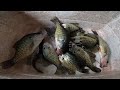 Lake Jacomo Crappie Fishing in the fall