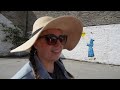 A Bay to Remember - Dolphin watching! Cardigan Bay - Wales VLOG P7