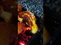 Grilled Chicken Pork Fish