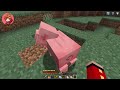 Minecraft VERFOLGUNG, aber SCHWEINE geben SUPER ITEMS