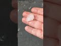 Nickel-sized hail, East Dayton, Ohio, 18 June 2021