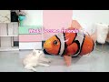 FLYING FISH TOY ATTACKS DOG!! Her Reaction is...