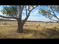 haunted house Western Australia