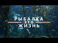 Рыбалка на Зелёном острове / Днестр / Маяки