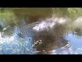 Горение коллоксилина под водой | Kolloksilin burn under water