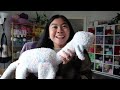 My CUTEST Plushie Ever 🌷 2024 Crochet Goals, and so much chit chat // Crochet & Chat Vlog ❤️