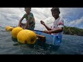 22.5kL Golden Trevally Grabe Ang Lalakas Lumaban