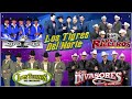 Tigres Del Norte🔥Traileros Del Norte🔥Rieleros Del Norte🔥Ramon Ayala🔥Terribles Del Norte