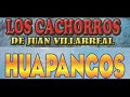 Los Cachorros de Juan Villarreal - HUAPANGOS MIX 10 EXITOS