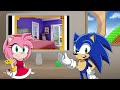 SONIC AND AMY'S VALENTINES DAY SPECIAL Sonic & Amy Play Sonic Dating Simulator!