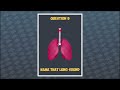 Name that lung sound quiz: Can You Name These 9 Common #lungsounds ?