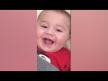 Funny Baby Videos  - The Cutest Chubby Baby Compilation