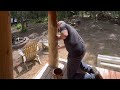 Building an off grid log cabin alone in the forest, outside work, woodwork, staining the cabin.