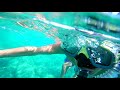 Snorkelling In The Sea(part 1)