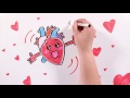 HOW DOES THE HEART WORK? ♥ ️ | About Drawing with @ GlóbuloAzul
