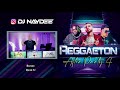 Rauw Alejandro, Sech, Anuel AA, Don Omar | Reggaeton Mix 2022 | After Party 4 by Dj Naydee