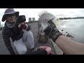 IT HAPPENED! Urban Fishing for Fat Bream in Parramatta River with Soft Plastics ft Shroom