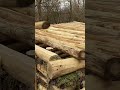 DUGOUT IN THE FOREST #building #bushcraft #dugout #survival #forest