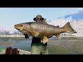 Legendary Alejandro Magno 15/8/24 - Call Of The Wild The Angler