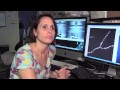 Brains and Addiction Behavior in Mice - Veronica Alvarez, NIH Neuroscientist