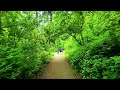 Washington Park Arboretum Seattle Walking Tour 2024