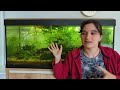 Watch This BEFORE You Set Up a New Aquarium! 5 Things I Wish I Knew