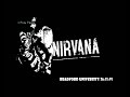 Nirvana   All Apologies Bradford University 26th November 1991
