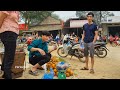 Harvest oranges, go to market, daily life, forest life