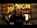 Joe Rogan ''There Is Constant Daylight, It NEVER Becomes Night''