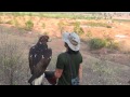 Golden Eagle Training, 3rd Week Higher Ground Release