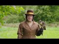 Falconry Through the Ages