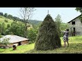 One day of happy life in the Ukrainian mountain village: preparation for green holidays