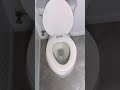 how to pull and reset a toilet on a new wax ring