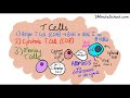 B Cells vs T Cells | B Lymphocytes vs T Lymphocytes - Adaptive Immunity - Mechanism