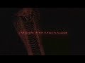 Megan Thee Stallion - Cobra (Rock Remix) [feat. Spiritbox] [Official Lyric Video]
