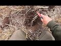 MINELAB MANTICORE LIVE DIGS! SHOCKING RESULTS