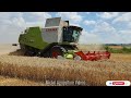 😱BIG HARVEST WHEAT😱|💚❤️6x harvesters on one field 🇨🇿🚜🔝|4K