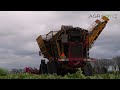 Nothing can stop this Beet Beast! | Extreme wet harvest | Agrifac on tracks | W. Berkers - Deurne