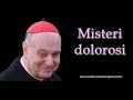 Mons. Angelo Comastri – Misteri dolorosi del Santo Rosario