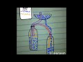 Heron's Fountain Particle Diagram Video
